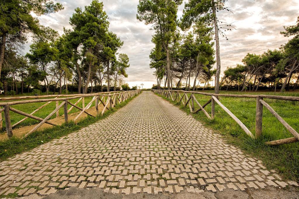 Villa Elena Монтесильвано Экстерьер фото